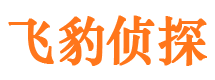 硚口市私家侦探